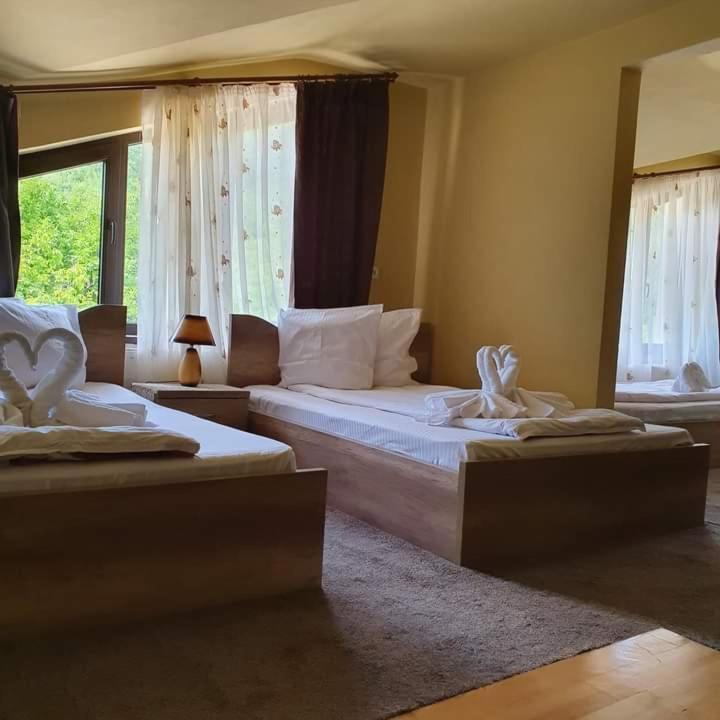 Pensiunea Mirela Pestera Ursilor Chişcău エクステリア 写真