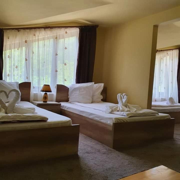 Pensiunea Mirela Pestera Ursilor Chişcău エクステリア 写真