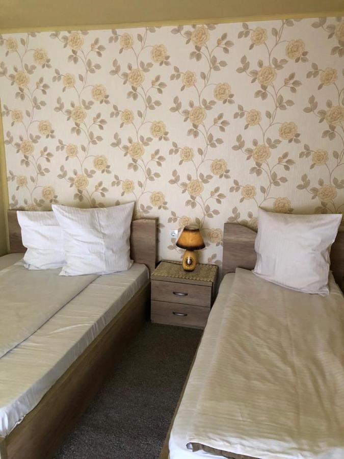 Pensiunea Mirela Pestera Ursilor Chişcău エクステリア 写真