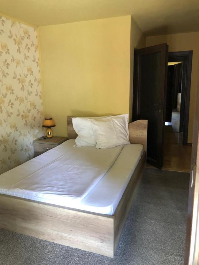 Pensiunea Mirela Pestera Ursilor Chişcău エクステリア 写真