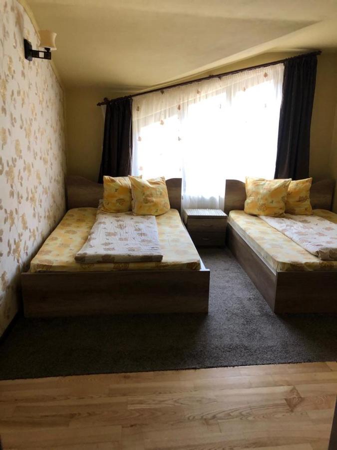 Pensiunea Mirela Pestera Ursilor Chişcău エクステリア 写真