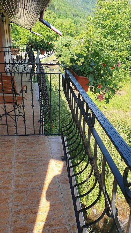 Pensiunea Mirela Pestera Ursilor Chişcău エクステリア 写真