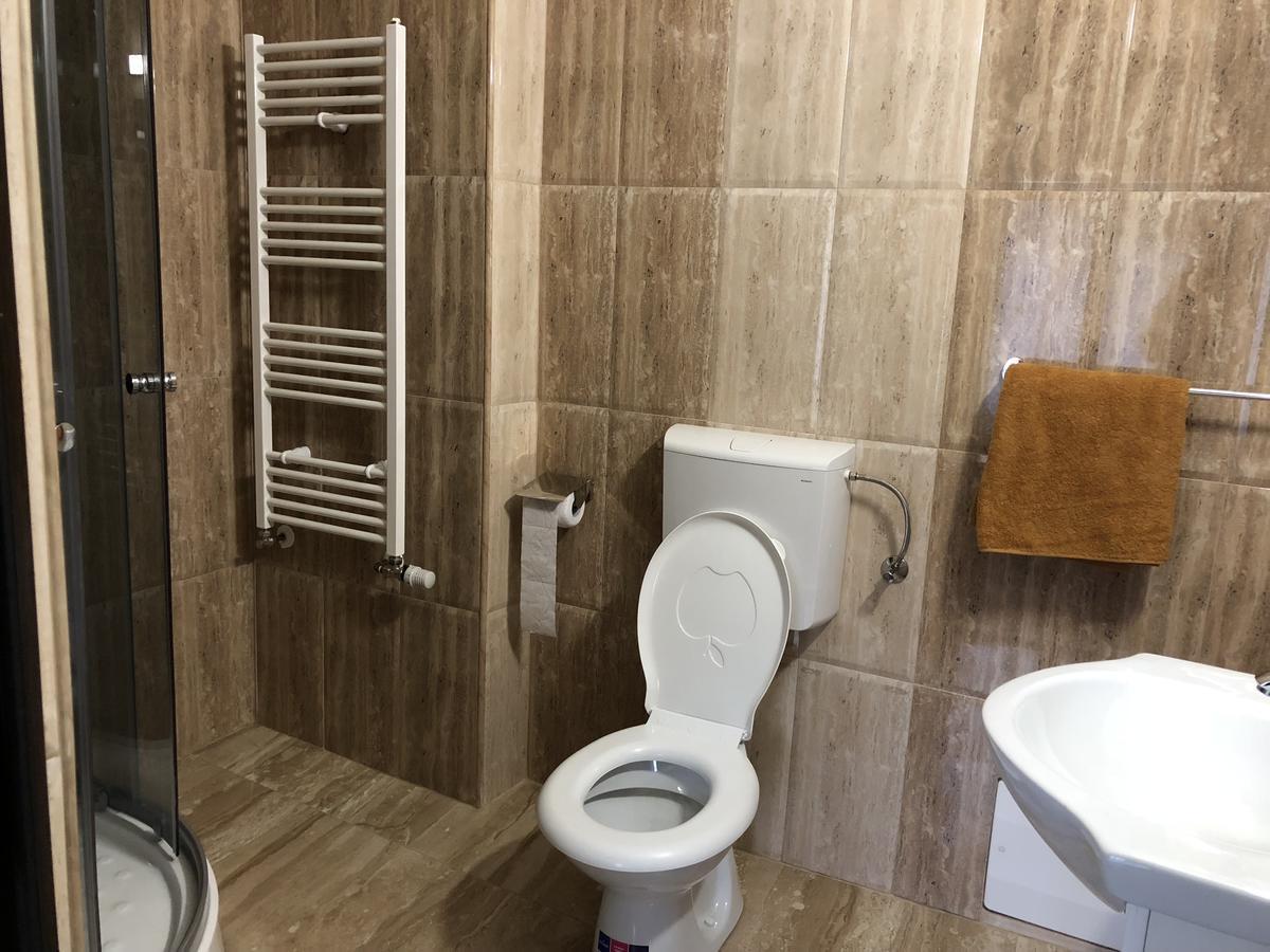 Pensiunea Mirela Pestera Ursilor Chişcău エクステリア 写真