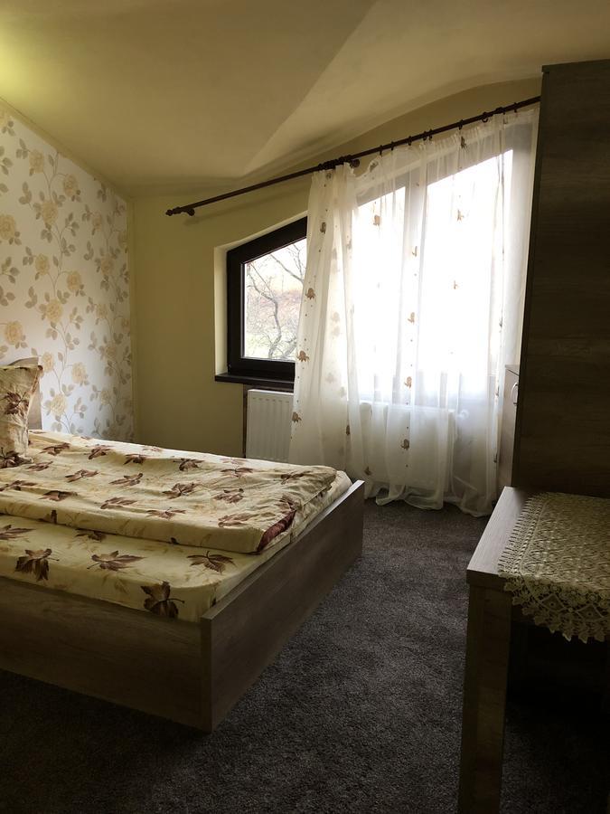 Pensiunea Mirela Pestera Ursilor Chişcău エクステリア 写真